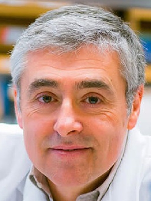 Davide Comoletti, DVM, PhD