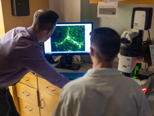 Two researchers looking at a microscopic image on a computer screen